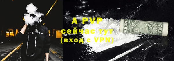 таблы Бородино