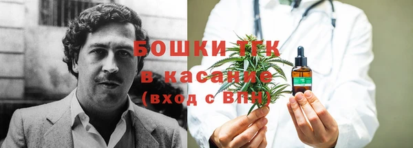 таблы Бородино