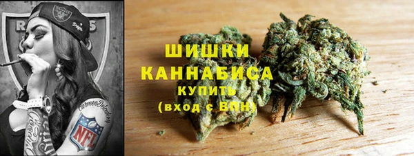 таблы Бородино