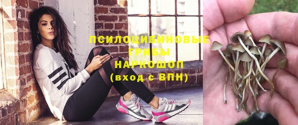таблы Бородино